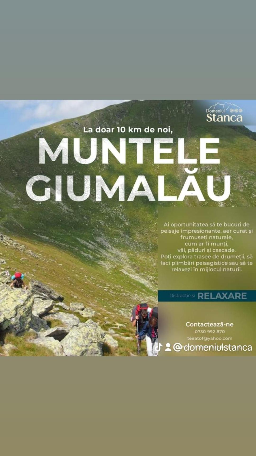 Domeniul Stanca 3* Vatra Dornei